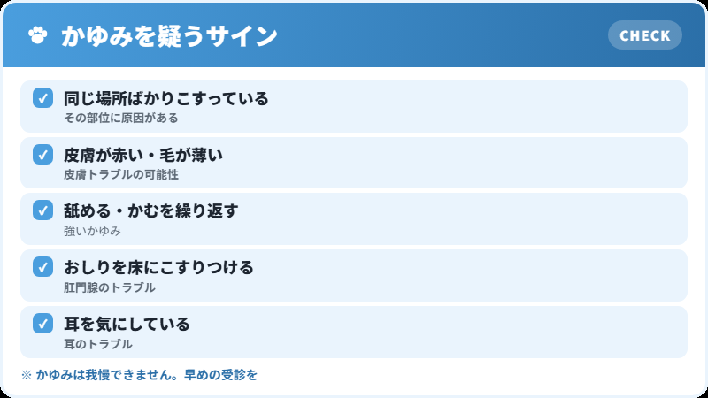 かゆみを疑うときのチェックリスト