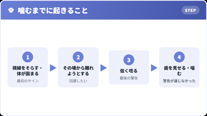 犬が噛むまでの6段階