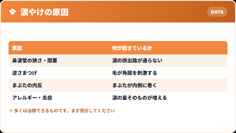 涙やけが起きる原因の分類