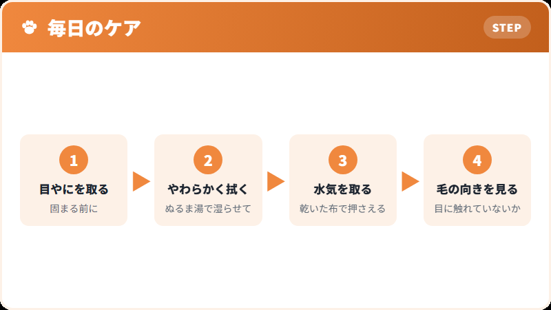 毎日のケアの流れ