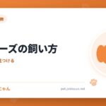 マルチーズの飼い方