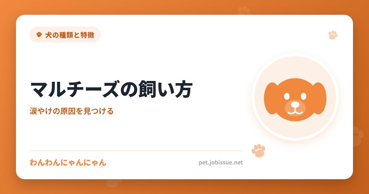マルチーズの飼い方