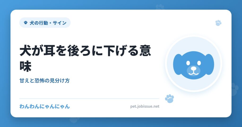 犬が耳を後ろに下げる意味