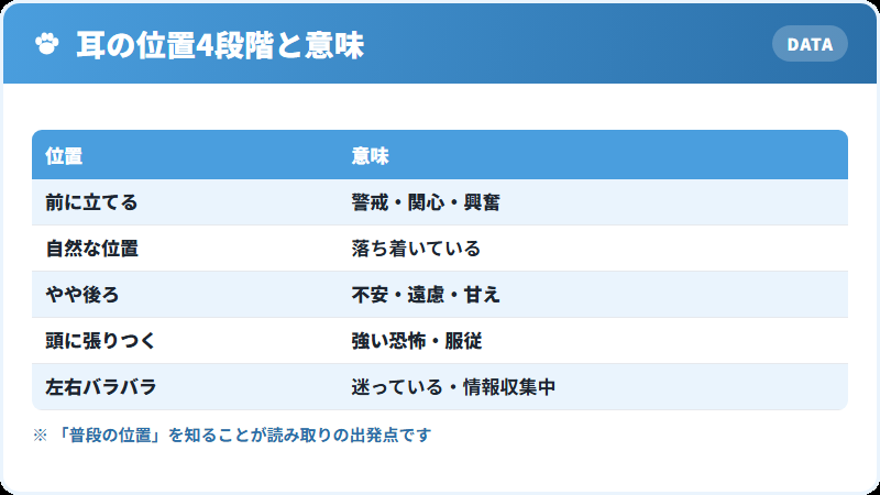 犬の耳の位置4段階と意味