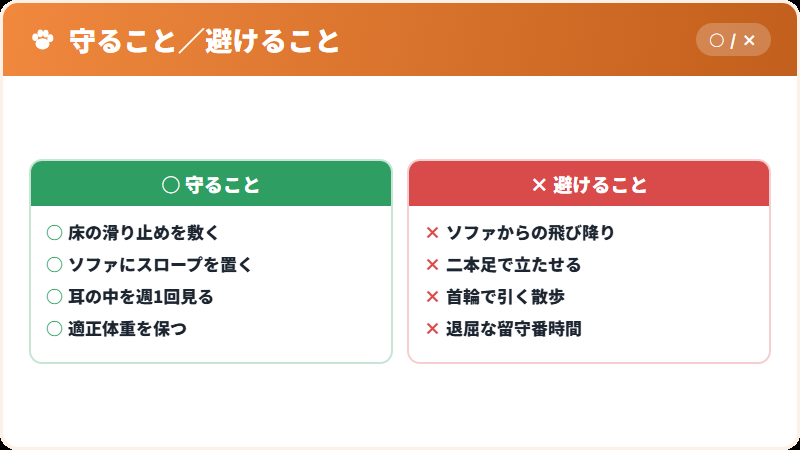 小さな体と、大きな耳