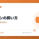 パピヨンの飼い方