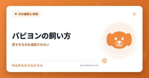 パピヨンの飼い方