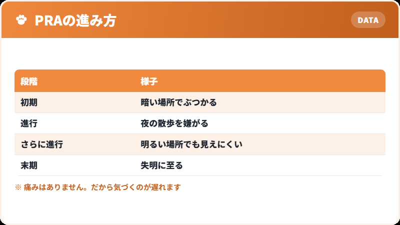 PRAという遺伝性の目の病気