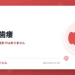 犬の外歯瘻