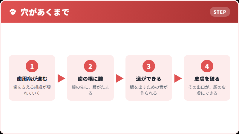 膿が皮膚まで出てくる道すじ
