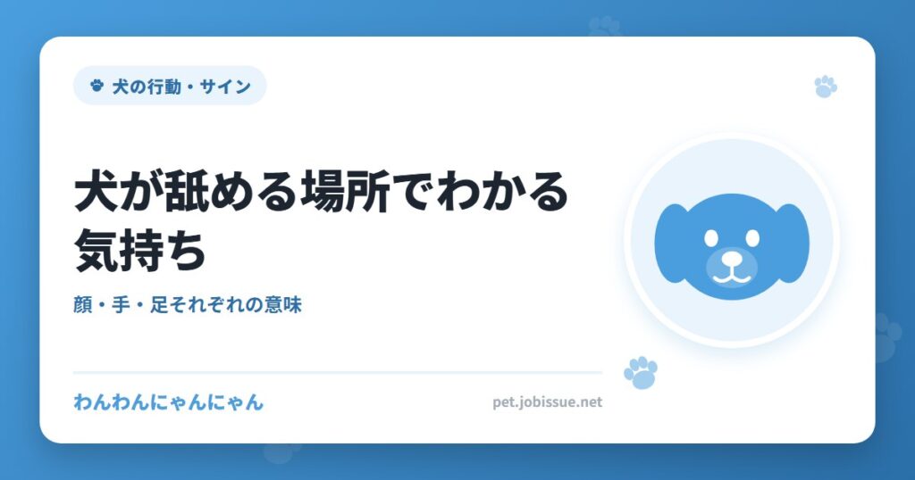 犬が舐める場所でわかる気持ち