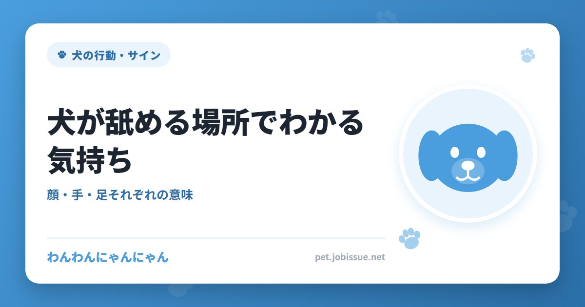 犬が舐める場所でわかる気持ち