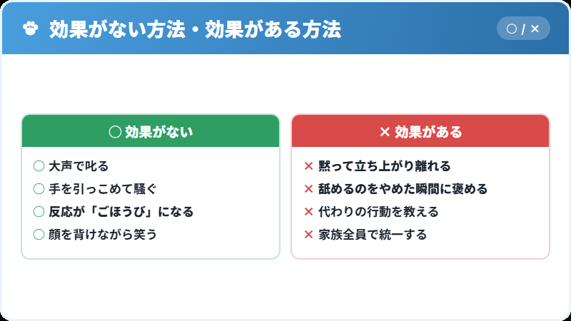 舐める行動をやめさせる正しい手順