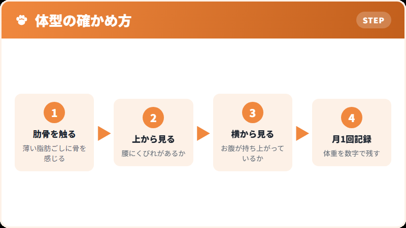 体型を触って確かめる方法