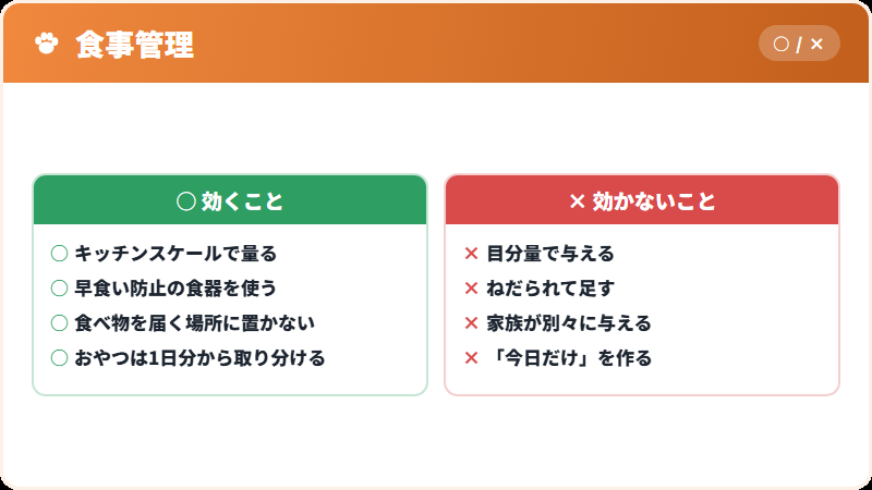 食事管理の具体策