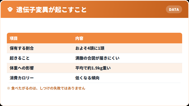 POMC遺伝子変異が食欲に与える影響
