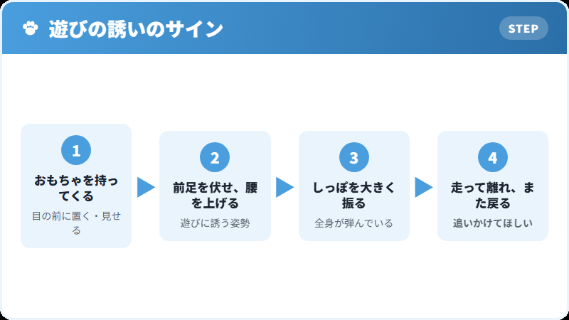 遊びに誘う姿勢の解説