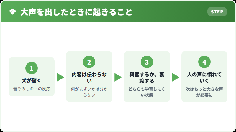 大声が犬に与える影響