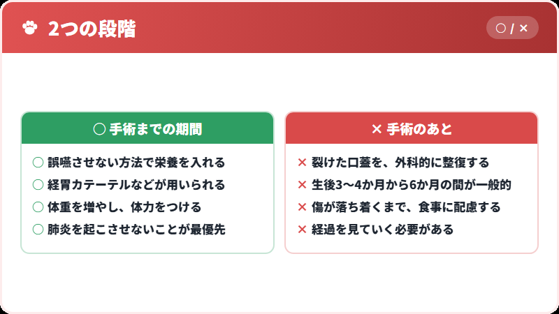 手術までと、手術後