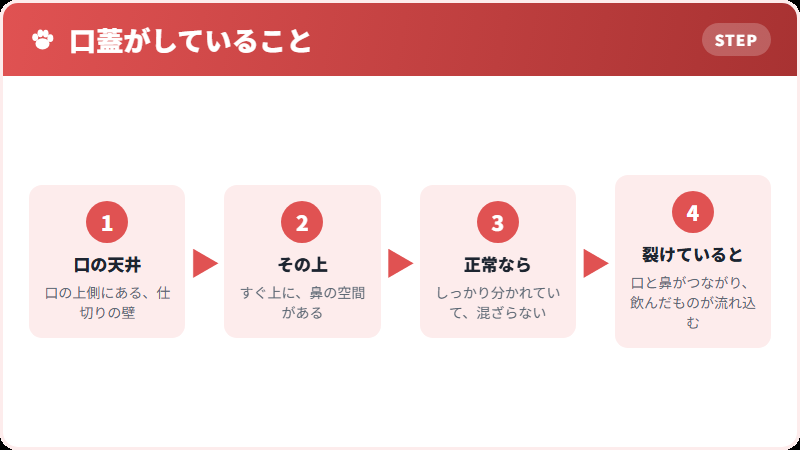 口の天井の役割
