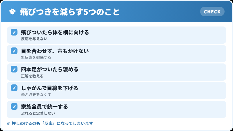 飛びつきをやめさせる手順のチェックリスト