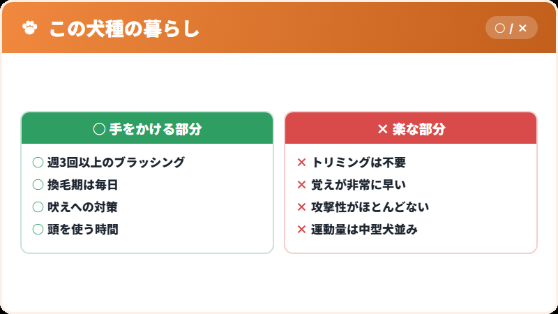 被毛と、日常の手入れ