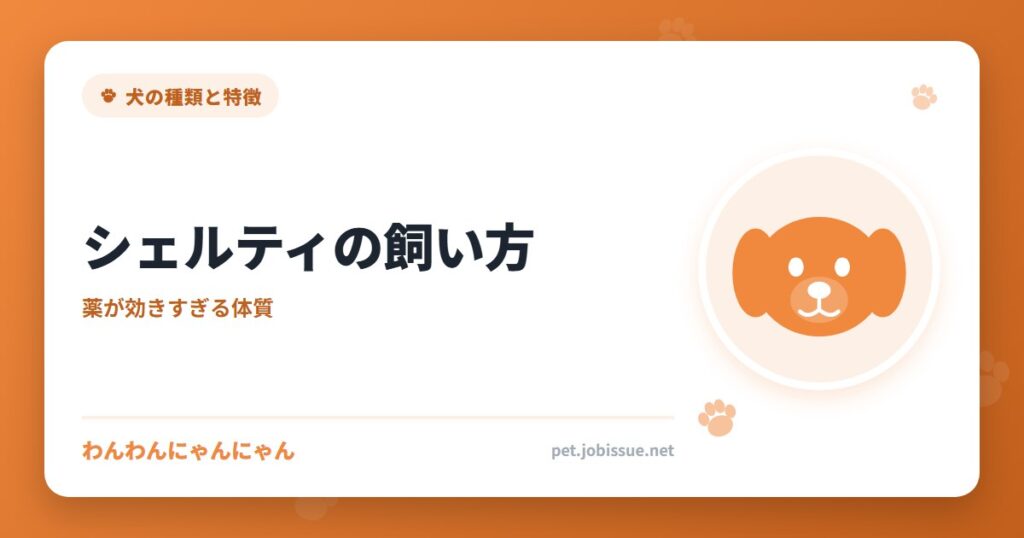 シェルティの飼い方