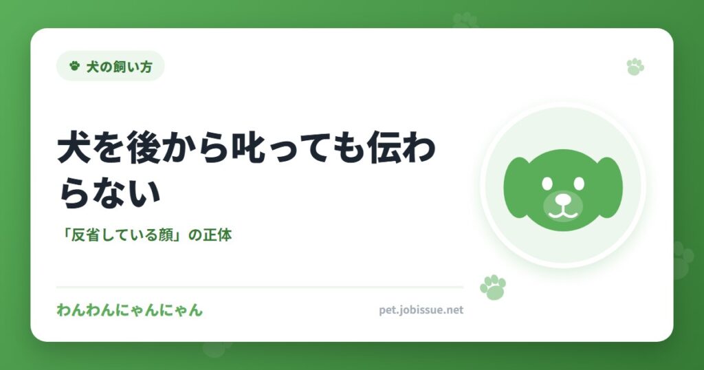 犬を後から叱っても伝わらない