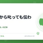 犬を後から叱っても伝わらない