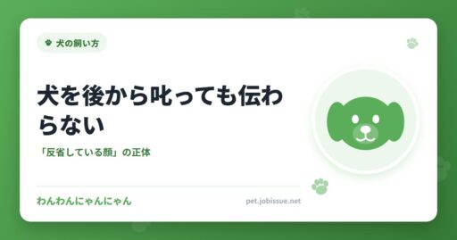 犬を後から叱っても伝わらない