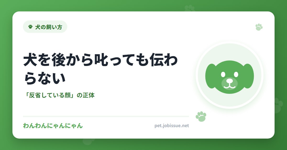 犬を後から叱っても伝わらない