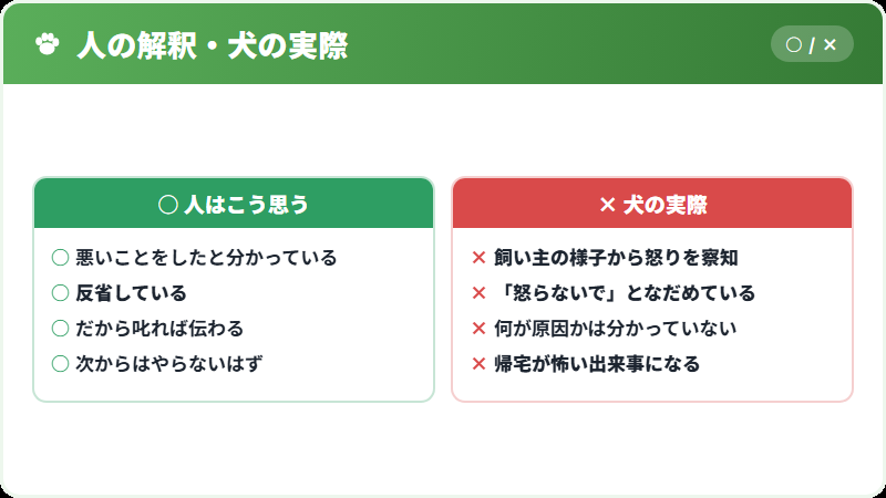 しょんぼりした表情の正体