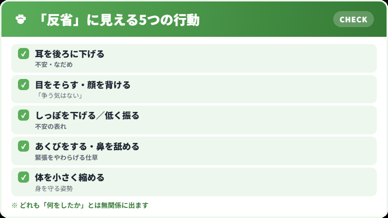 なだめようとする行動の一覧