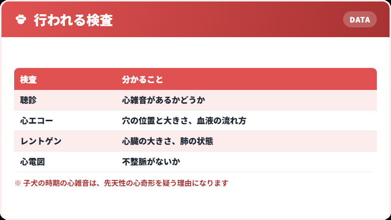 診断でわかること