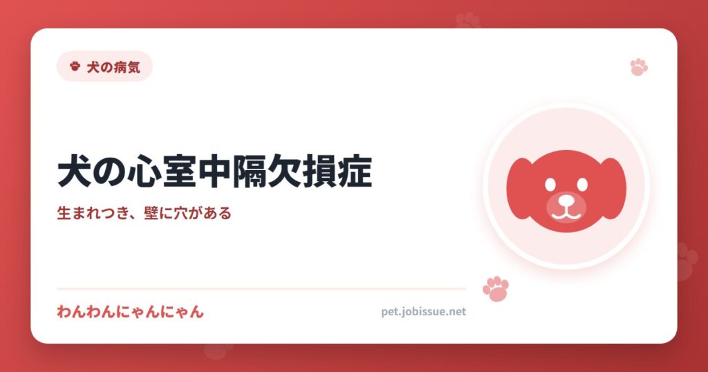 犬の心室中隔欠損症