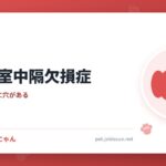 犬の心室中隔欠損症