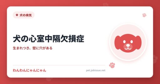 犬の心室中隔欠損症