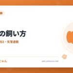 チワワの飼い方