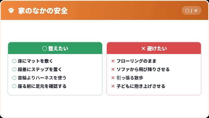 チワワを守る家の環境チェックリスト