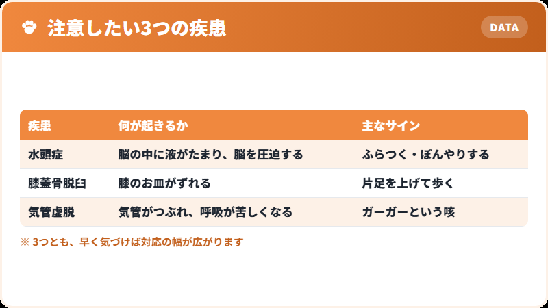 チワワで注意したい3つの疾患