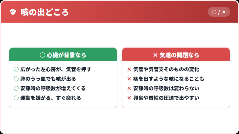 心臓の咳と、気道の咳
