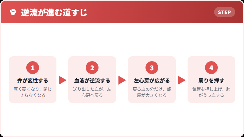 弁が閉じなくなると起きること