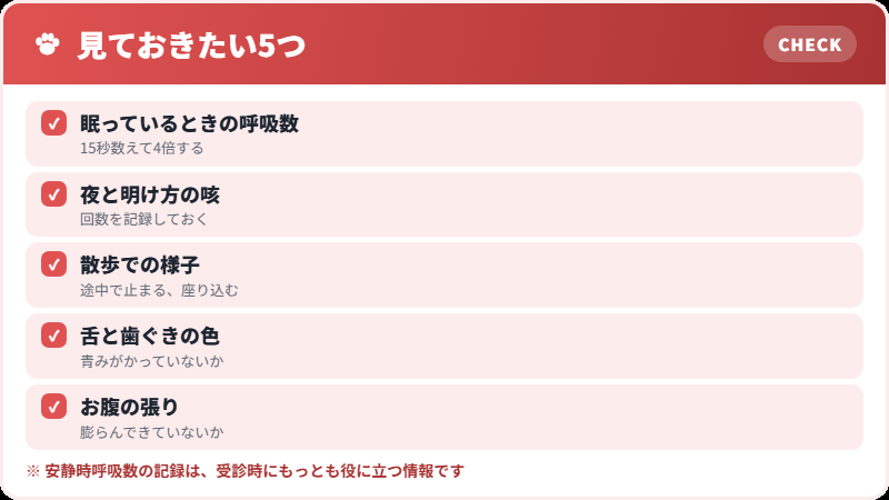 家庭でできる観察