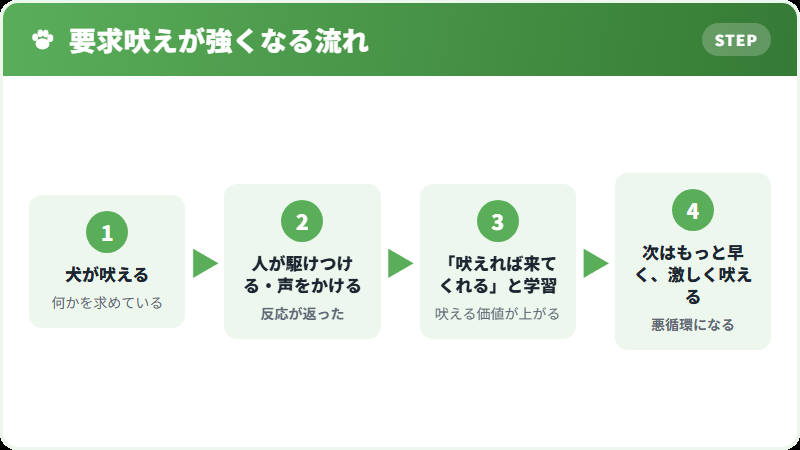 反応が要求吠えを強める流れ