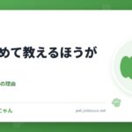 犬は褒めて教えるほうが早い