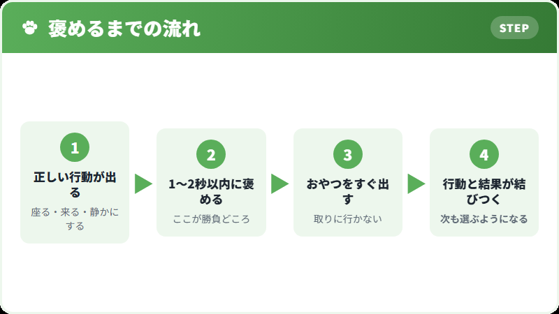 褒めるタイミングの重要性