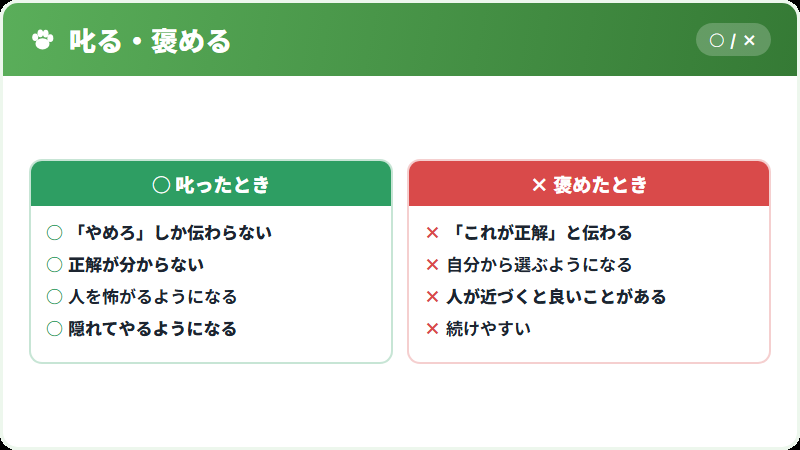 叱るより褒めるほうが効く理由