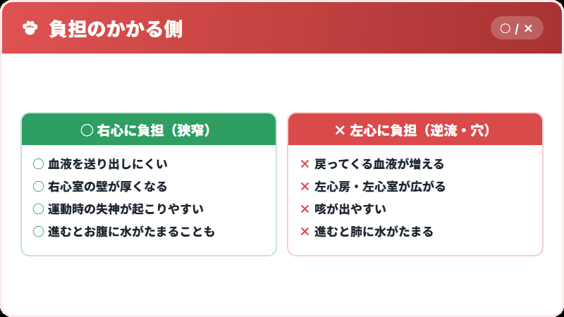 左心の病気と右心の病気