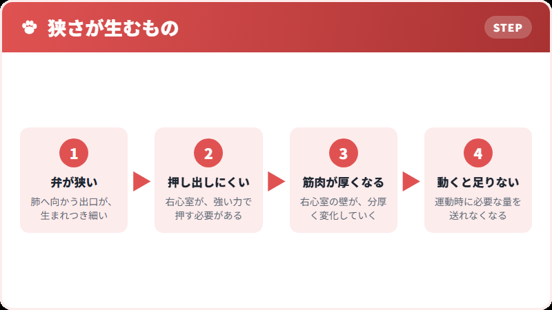弁が狭いとどうなるか