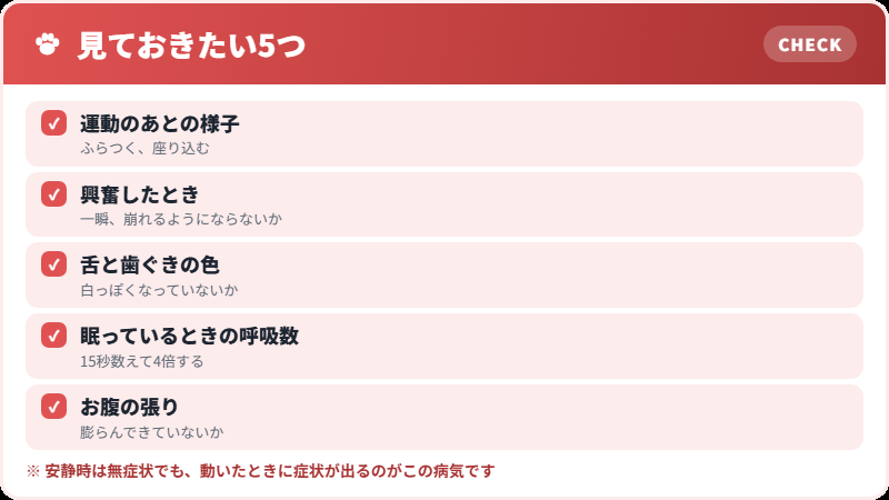 家で見ておきたいこと
